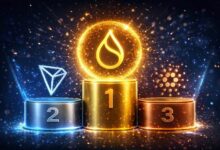 سوي يتفوق على ترون وكاردانو في سبق السيولة لعام 2026