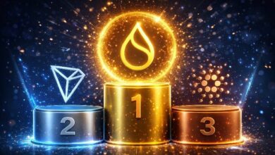 سوي يتفوق على ترون وكاردانو في سبق السيولة لعام 2026