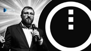 ما هي شبكة ميدنايت بلوكتشين؟ شرح سلسلة الخصوصية لتشارلز هوسكينسون