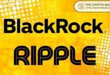 مدير ريبل يؤكد اهتمام ماستركارد وبلاك روك وفرانكلين تمبلتون في شبكة إكس آر بي ليدجر