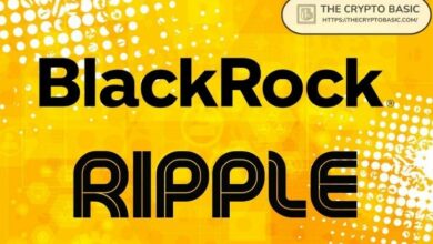 مدير ريبل يؤكد اهتمام ماستركارد وبلاك روك وفرانكلين تمبلتون في شبكة إكس آر بي ليدجر