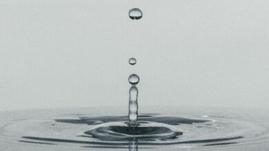 ارتفاع توكن HYPE الخاص بـ Hyperliquid بنسبة 10% بعد خطط إضافة أسواق توقعات وخيارات