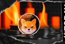 مؤشر حرق SHIB يشهد انهياراً هائلاً بنسبة 91%: التفاصيل الكاملة