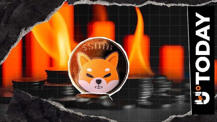 مؤشر حرق SHIB يشهد انهياراً هائلاً بنسبة 91%: التفاصيل الكاملة