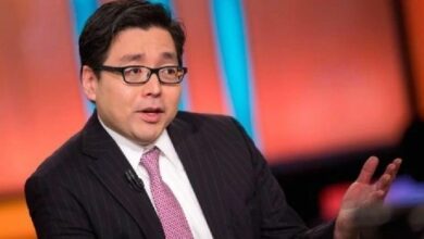 الثور الكبير توم لي يكشف ما يتوقعه بعد ذلك للإيثيريوم! "حدث هذا 8 مرات من قبل، وكرر الإيثيريوم نفس الأداء دائمًا!"