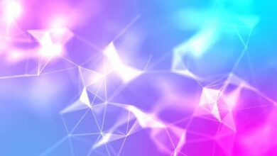 سوشي تطلق منصتها على شبكة سولانا