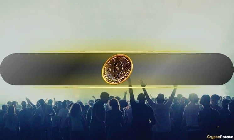 تراجع البيتكوين 50% يختبر الأسواق وسط استمرار المستثمرين الأفراد في الشراء عند الانخفاضات