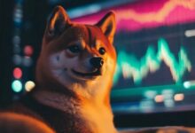 شيبا إينو يواجه صعوبة تحت مستوى مقاومة حاسم وسط مخاوف السوق