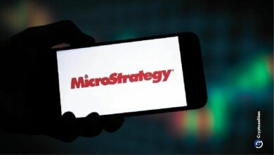 مايكروستراتيجي تتخلف عن أدائها في ذروة فقاعة الدوت كوم