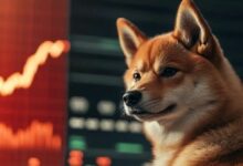 شيبا إنو (SHIB) يختبر مستوى 0.0000067 دولار مع استمرار الضغوط الهبوطية