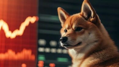 شيبا إنو (SHIB) يختبر مستوى 0.0000067 دولار مع استمرار الضغوط الهبوطية