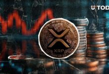 حجم تداول XRP يهبط 63% رغم ارتفاع السعر.. ما السبب؟