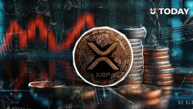 حجم تداول XRP يهبط 63% رغم ارتفاع السعر.. ما السبب؟