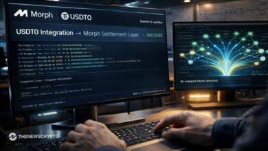 مورف تدمج عملة USDT0 لتحرير سيولة متكاملة عبر جميع السلاسل