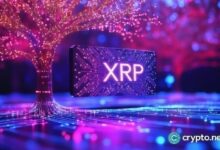 سعر XRP يشكل شمعة المطرقة قبل إطلاق بورصة لا مركزية مرخصة