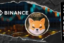 حوت شبّا إنو ينقل 50% من ممتلكاته إلى بينانس بعد احتجازها لمدة عامين