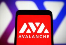 عملاق فورتشن جلوبال 500 ينضم إلى أفالانش كمدقق للشبكة