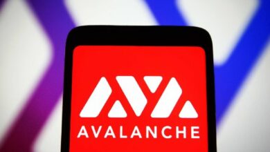 عملاق فورتشن جلوبال 500 ينضم إلى أفالانش كمدقق للشبكة