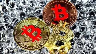 هل تصل البيتكوين إلى 500 ألف دولار بحلول 2029؟ رجل أعمال يتنبأ بتوقعات جريئة