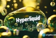 سعر Hyperliquid يشكل قمة دنيا كبرى مع ظهور هدف هبوطي عند 22 دولارًا