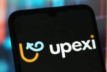 شركة خزينة Solana المدعومة من Hayes تضاعف استثمارها في SOL رغم خسارة صافية بقيمة 179 مليون دولار