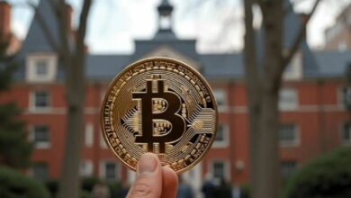 بيتكوين يقترب من مستويات تاريخية للبيع المفرط.. إشارات على اقتراب إعادة ضبط الدورة