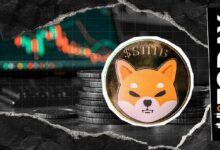 استكشاف شبكة شيبا إينو الويب 3.0 يُسلط الضوء على 5 حالات استخدام محتملة