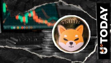 استكشاف شبكة شيبا إينو الويب 3.0 يُسلط الضوء على 5 حالات استخدام محتملة