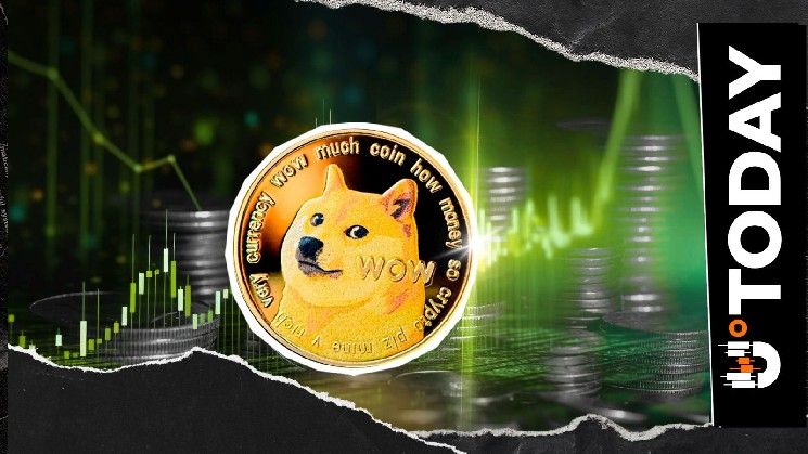 دوجكوين (DOGE) يرتفع 20% وسط تداول نشط في عطلة نهاية الأسبوع