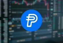 لماذا تشهد باي بال ارتفاعاً كبيراً اليوم؟