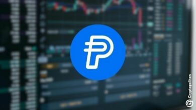 لماذا تشهد باي بال ارتفاعاً كبيراً اليوم؟