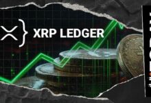 انفجار مفاجئ في حجم معاملات إكس آر بي ليدجر يتجاوز 1.2 مليار