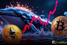 حوت يضخ 40 مليون دولار في صفقات رافعة للبتكوين والإيثيريوم بمضاعفة 20x