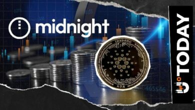 "ميدنايت" شبكة "كاردانو" الجديدة تحصل على إدراج في أكبر منصة تداول عملات رقمية عالميًا