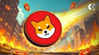 حوت شيبا إنو يتخلص من 14.5 مليار SHIB بخسارة 83% بعد احتجاز دام عامين