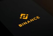 بينانس تقود عمليات سحب ضخمة للـ XRP مع سحب الحيتان 530 مليون عملة في يوم واحد