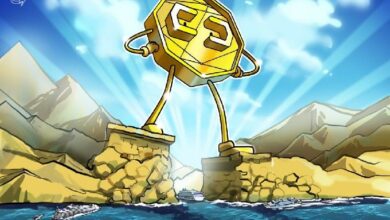 مسؤول تنفيذي في قطاع العملات الرقمية يتوقع دمج شركات الخزنة الرقمية بحلول 2026