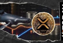 حيتان العملات تشتري 190 مليون XRP خلال أسبوع مع انخفاض السعر