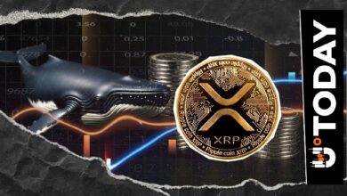 حيتان العملات تشتري 190 مليون XRP خلال أسبوع مع انخفاض السعر