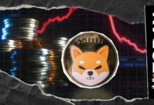 مستثمرو عقود شيبا إينو المستقبلية يتجهون نحو التشاؤم مع تراجع المراكب المفتوحة 8%