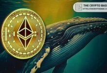 75% من إيثيريوم على بينانس مُرَافَع الآن: تقرير كريبتوكوانت