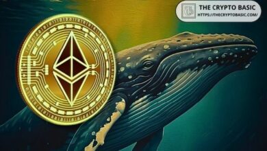 75% من إيثيريوم على بينانس مُرَافَع الآن: تقرير كريبتوكوانت