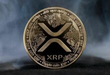 محلل يتوقع ارتفاع سعر XRP بنسبة 1,500% ليصل إلى 15 دولاراً إذا كانت هذه الموجة الثانية