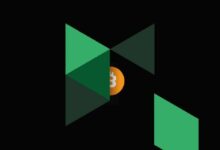 بولونيكس وسؤال البيتكوين البالغ 1.3 مليار دولار