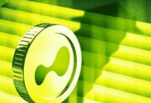 سعر HYPE يتجه نحو انخفاض بنسبة 37% مع تحول تدفقات رأس المال إلى السلبية