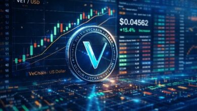 فيترون تشهد طفرة مع إطلاق بينانس وبيتفافو مدققات بسندات 600 مليون فيت