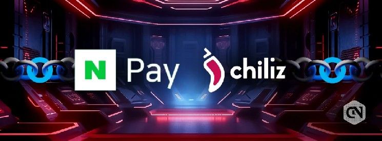 محافظ Naver Pay الكورية تتجاوز 800 ألف على شبكة Chiliz Chain