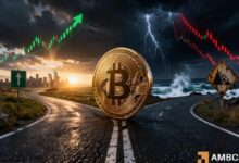 بيتكوين يترنح تحت حاجز 72.5 ألف دولار.. حاملوها قصيرو الأجل يبيعون بخسائر