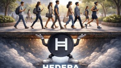 هيديرا تدمج شينلينك لتمكين الوصول إلى بيانات العالم الحقيقي والاتصال عبر السلاسل