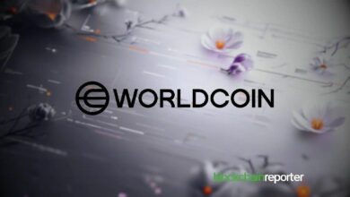 وورلدكوين تنقل 117 مليون عملة $WLD في صفقات خارج البورصة مع فالكون إكس و بينانس